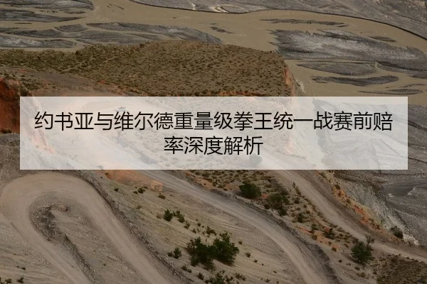 约书亚与维尔德重量级拳王统一战赛前赔率深度解析