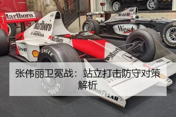 zhang-wei-li-wei-mian-zhan-zhan-li-da-ji-fang-shou-dui-ce-jie-xi-3-428.jpg
