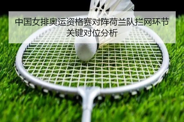 中国女排奥运资格赛对阵荷兰队拦网环节关键对位分析