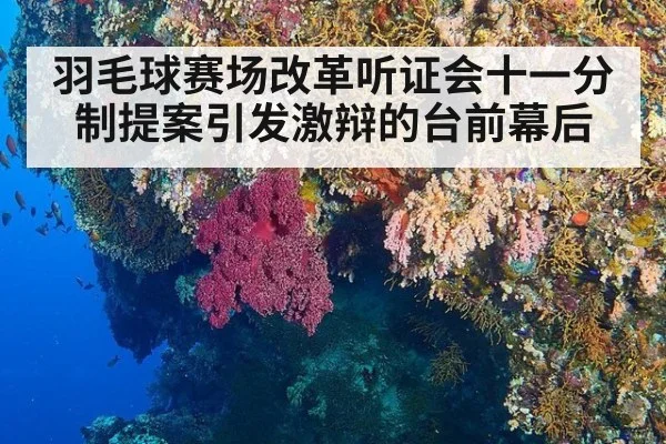 羽毛球赛场改革听证会十一分制提案引发激辩的台前幕后